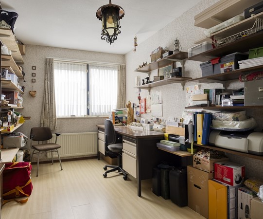 Vijgendam103901slVeenendaalNL-22 bijgesneden.jpg